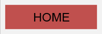 Home button